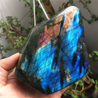 Natural Labradorite Rough Stone Polished Healing (873g) V94