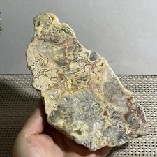 685g Natural Mexican Crazy Lace Agate Rough Specimen Healing h79