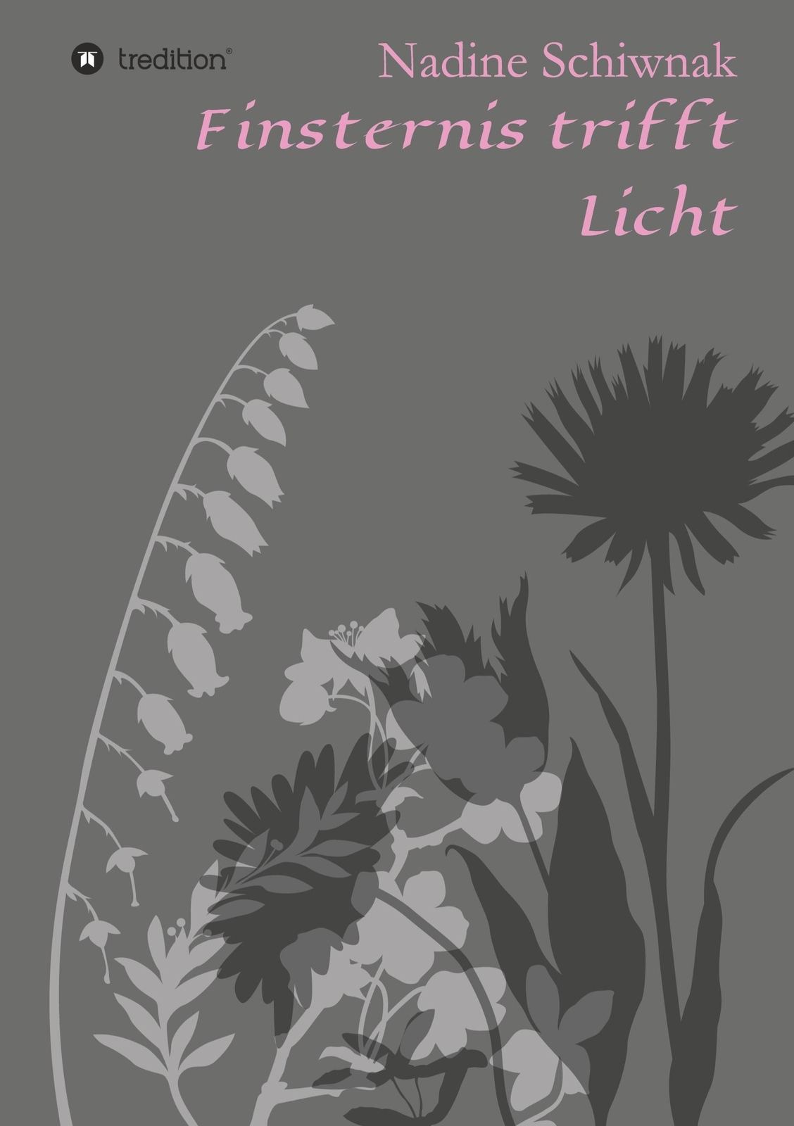 Thumbnail - Nadine Schiwnak | Finsternis Trifft Licht | Buch | Deutsch (2021) |