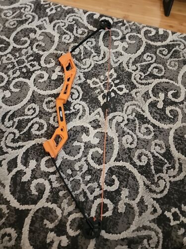 Bear Apprentice Bow Right Hand orange bear valiant