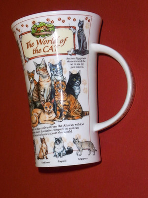 Dunoon Tasse Katze World of the Cat Glencoe Jumbobecher 0,5 L