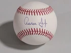Aaron Judge Signed Autographed OMLB Baseball N.Y Yankees Steiner COA