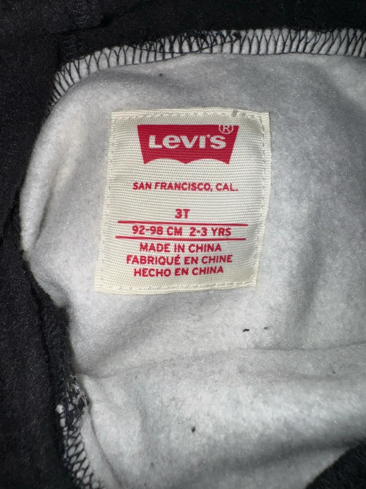 Levi's Colorblock 标志连帽衫 学步儿童 尺寸 3T 全新无标签 — 第 3/3 张图片