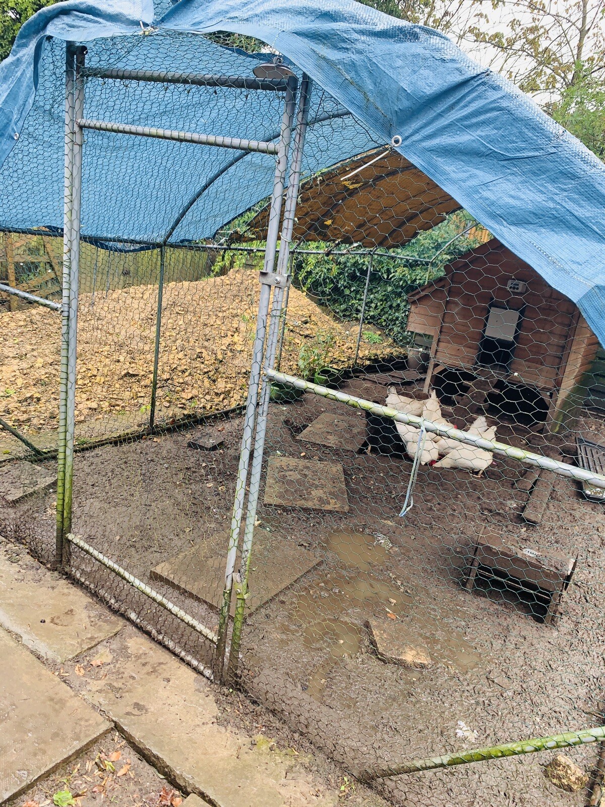 Chicken coop by Perthshire Poultry Co + wired enclosure hen run 5.6 x 3