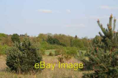 Foto 6x4 Hirsch auf der Flucht Frilford Sie sollten nur in der Lage sein zu erkennen th c2009
