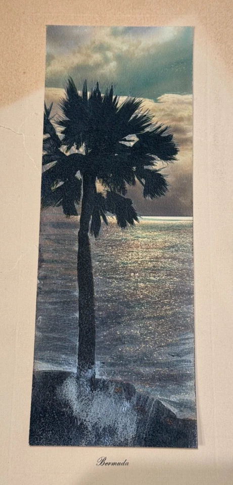 H. MARSHALL GARDINER ANTIGUO ORIGINAL ANTIGUO FOTOGRAFÍA EN COLOR BERMUDAS VISTA PAISAJE MARINO Foto 3 de 4