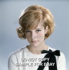 * Sylvie Vartan - Exclusive RARE PHOTO  N 4141 *  
