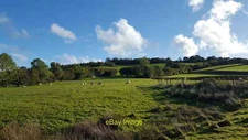 Photo 12x8 Field Opposite Talgarth Manor Trefeglwys  c2017