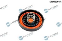 Membran, KurbelgehÄUseentlÜFtung FÜR BMW - Dr.Motor Automotive DRM2901R