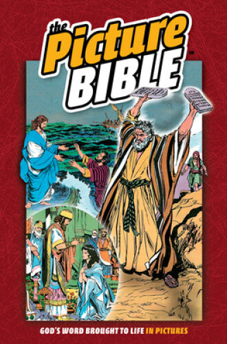 The Picture Bible by Hoth, Iva [Hardback, 800 pages]