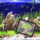 Bild 3 von 10