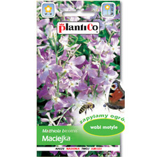 5901363411951 PlantiCo Maciejka LIDER sp. z o.o.