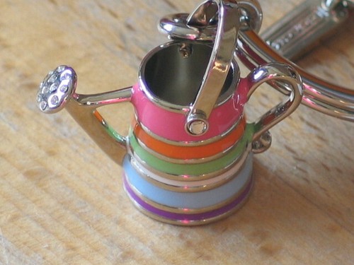 BNWT Legacy Stripe Enamel and Crystal Watering Can Key ring #93137 - Picture 3 of 12