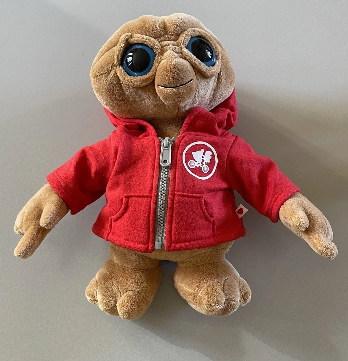 Plush 2025 hoodie sweater