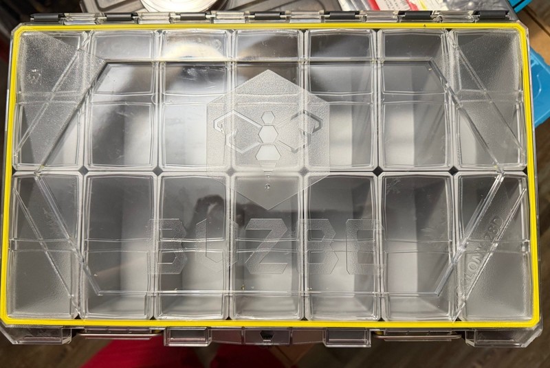 BUZBE Deep Box Colony 28d