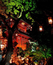 Tower of Joy Yu Garden Huangpu District, Shanghai China Postcard Continental