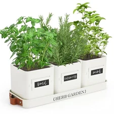 Indoor Herb Garden Planter Set with Tray for Windowsill & Outdoor Use