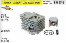 CILINDRO E PISTONE MOTOSEGA ALPINA CASTOR CASTELGARDEN P34 PR350 TR350 Ø 38 mm