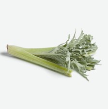 30 Graines de Cardon Plein Blanc Méthode BIO seeds légumes ancien jardin