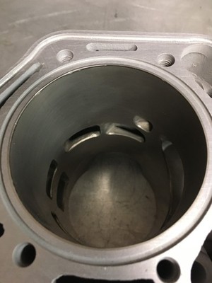 Ski-Doo Snowmobile MXZ 800 Core Cylinder 420923811 for sale online