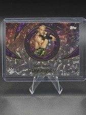 2025 Topps WWE Universe Rob Van Dam Purple Glass /399