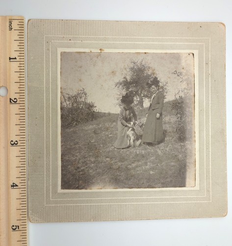 Kabinettkarte antik Foto viktorianische Frauen große Hüte niedlicher Hund Haustier Tier draußen - Bild 2 von 6