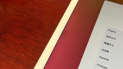 Apple iPad Pro 12.9-inch (2nd Gen) - 256GB - Gold (WiFi) - Screen Halo - Afbeelding 6 van 11
