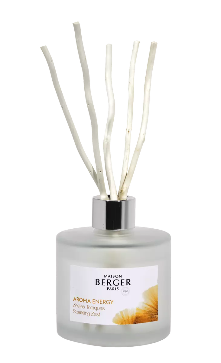 Maison berger 2024 aroma energy