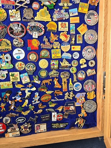 Lot Of New And Vintage Pins of Over 200 pins mounted on display 18" By 24" Case - Picture 5 of 12