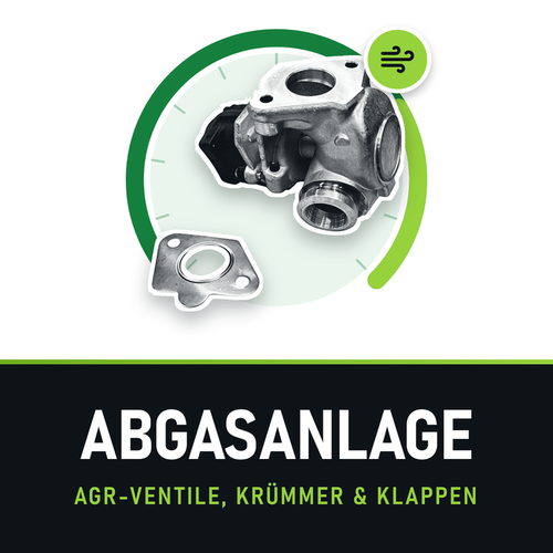 Abgasanlage