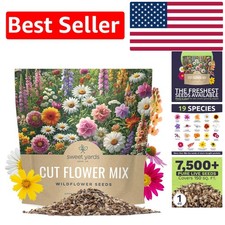 Succulent 1 Ounce Packet of Wildflower Seeds - 7500 Count, Guaranteed to Grow! 395.04 per gallon