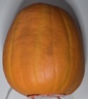 Foto 11 di 22