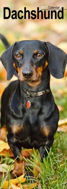 Dachshund Slim Calendar 2027, Wall Calendars, Month To View, Dogs, Gift - Image 4