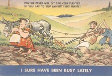 Vintage Humorous Greetings Postcard - Sure Been Busy Lately ~ #-7875