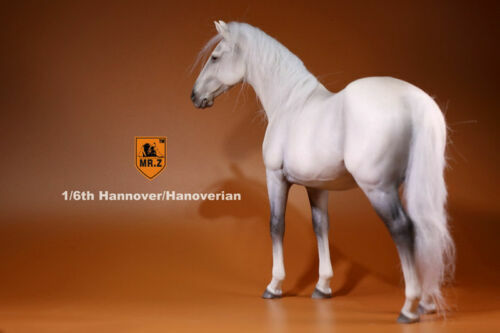 Figura MrZ 1/6 Alemania Hannover Caballo Hannover Animal Modelo Escala 12" EN STOCK - Imagen 40 de 46