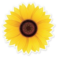 Sunflower Car Vinyl Sticker - SELECT SIZE