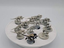Warhammer 40K: Tyranids - Termagants Box B