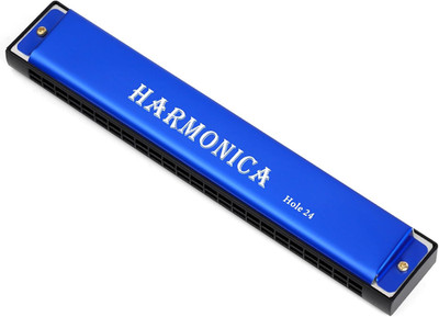Mundharmonika 24 Löcher Harmonica Professionelle Blues Harmonica Diatonisch Mund