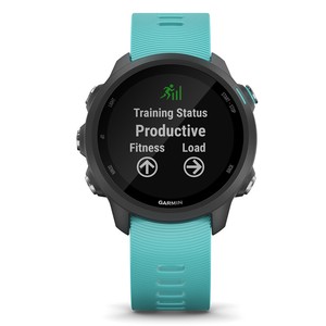 garmin forerunner 245 ebay