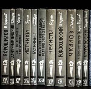 11 Books Famous "ZhZL" series Russian Soviet Military WW1 WW2 history WWI WWII 