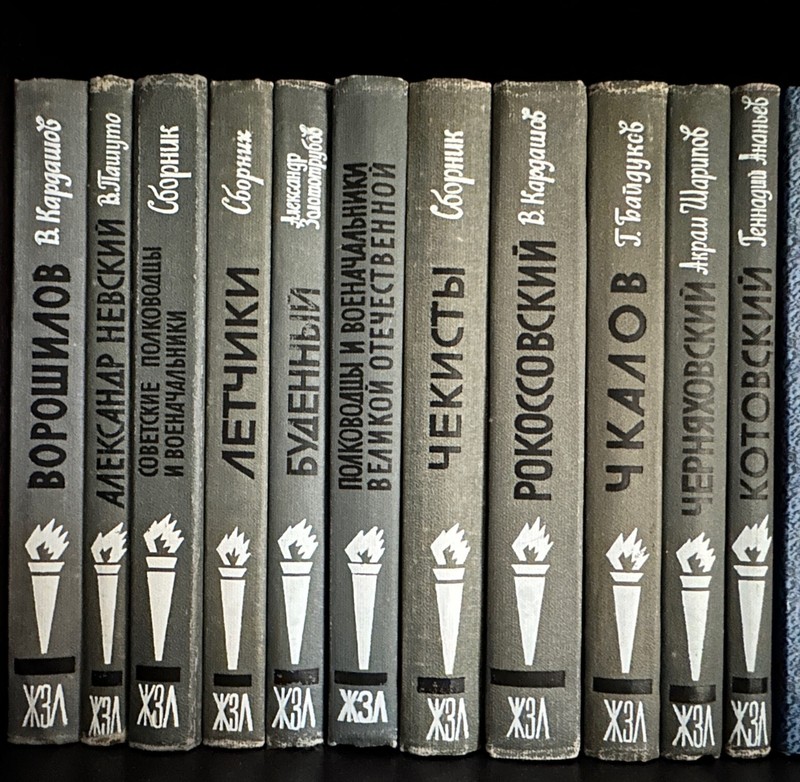 11 Books Famous "ZhZL" series Russian Soviet Military WW1 WW2 history WWI WWII 