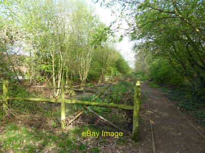 Photo 12x8 Pond in Ainslie Wood Chingford Ainslie Wood was once known as E c2017