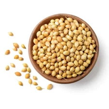 WHOLESALE!! Coriander Whole  Non-GMO Verified - Kosher, Raw, Vegan Seeds