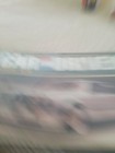 Afbeelding 3 van 10