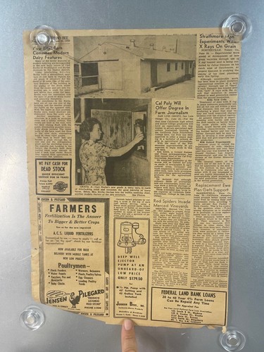 California Country Life Fresno June 25th Just the Cover 1st page of Newspaper - Picture 11 of 12