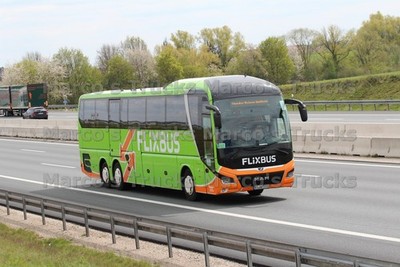 LKW Foto MAN Lion's Coach Deutschland grün FLIXBUS #l5ls