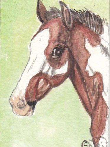 ACEO original Watercolor Art Card HORSE bay Frame/Tobiano Paint fpinto filly