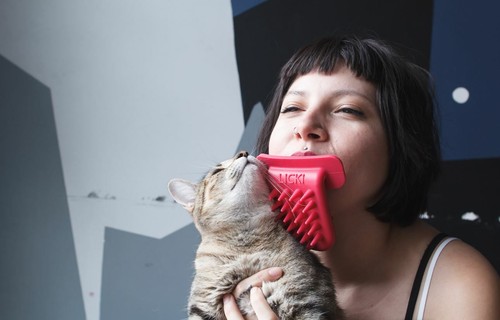 cat licking brush shark tank