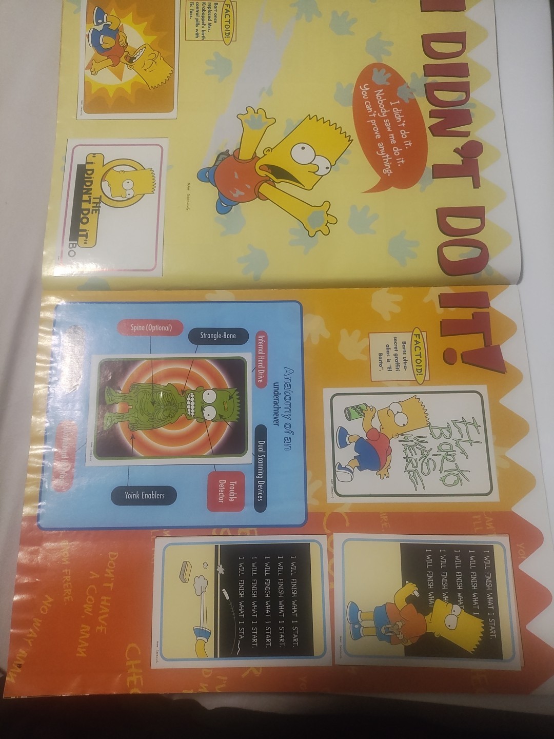 Picture 10 of 23