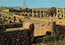 Timgad Algeria Ancient Roman Ruins Sertius Market Capitole Columns Postcard